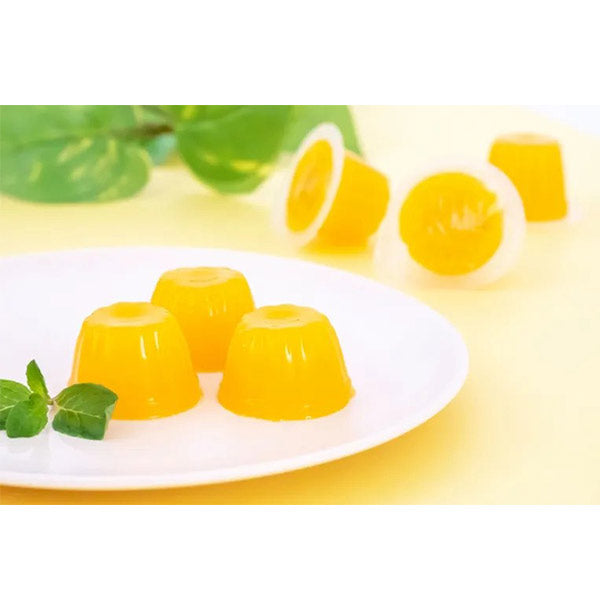 北辰フーズ JELLY&ME食物繊維マンゴーゼリー 21g×7個 栄養機能食品