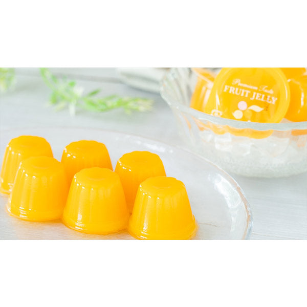 北辰フーズ マンゴーひとくちゼリー 21g×10個