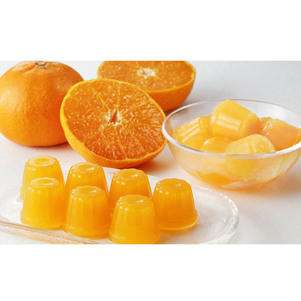 北辰フーズ 愛媛県産せとかひとくちゼリー 21g×10個