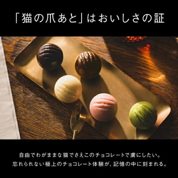 DADACA CACAOCAT 抹茶5個入り