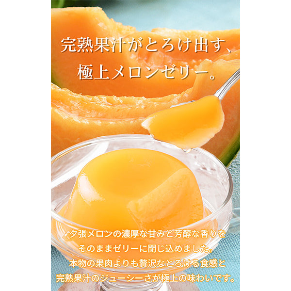 北辰フーズ 夕張メロンゼリー&クラウンメロンゼリー食べ比べセット 11個