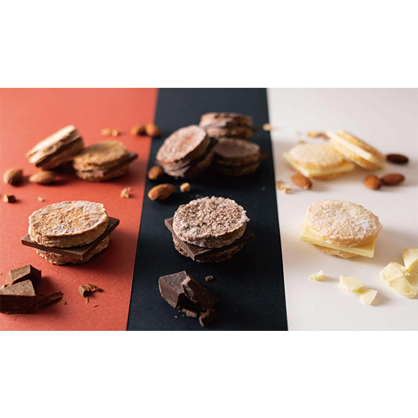 DADACA CACAOCAT ダク ダーク ダク ミルク ダク ホワイト ダク ストロベリー ダク 抹茶チョコレートケーキ 1個