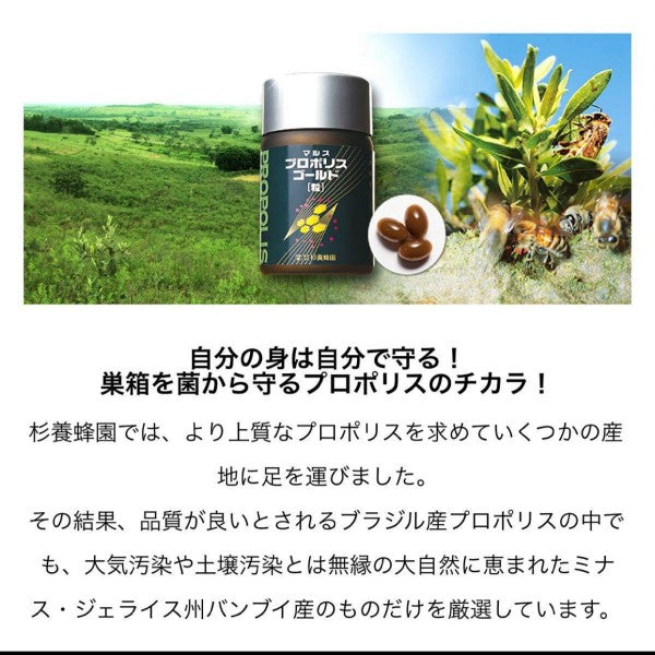 杉養蜂園プロポリスゴールド 93粒(瓶) (1ヵ月分)