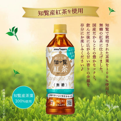 かごしま知覧紅茶無糖（500ml）