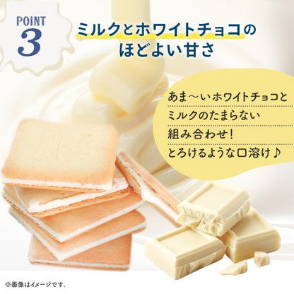 博多風美庵  糸島ミルクブランド ラングドシャ