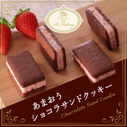 博多風美庵   あまおうショコラサンドクッキー