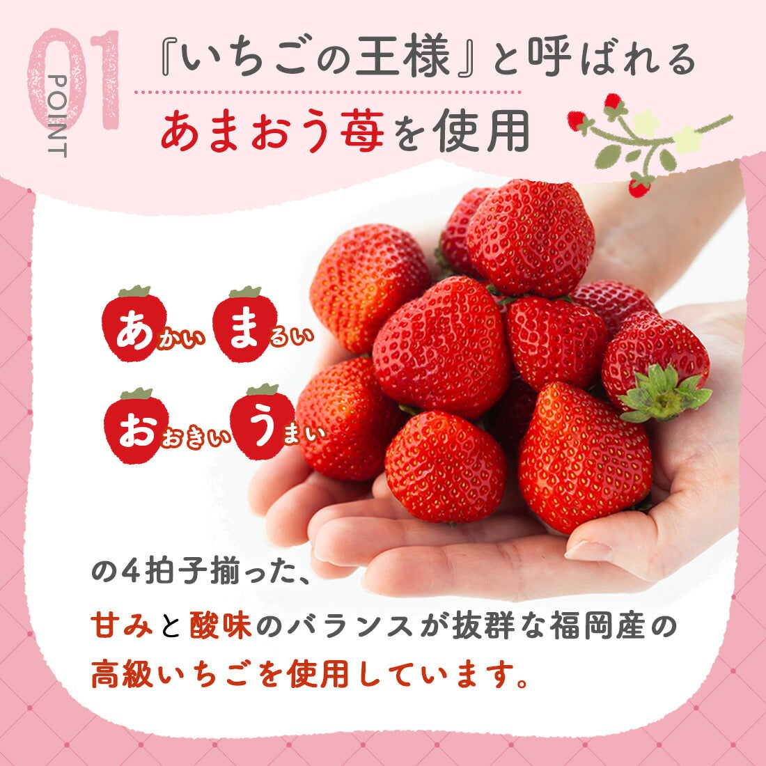 博多風美庵   苺のワルツ チョコタルト