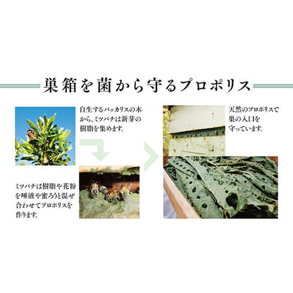 杉養蜂園プロポリスゴールド 93粒(瓶) (1ヵ月分)
