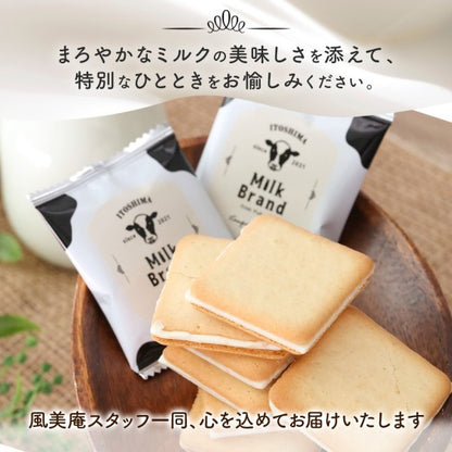 博多風美庵  糸島ミルクブランド ラングドシャ