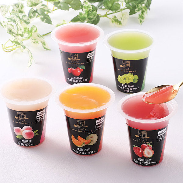 北辰フーズ  涼ごこち詰合せ