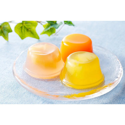 北辰フーズ  夕張メロンゼリー＆フルーツゼリーコレクション　11個入り