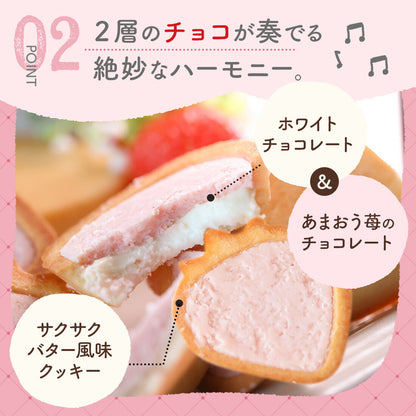 博多風美庵   苺のワルツ チョコタルト