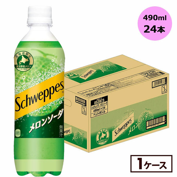 シュウエップスメロンソーダ490mlPET
