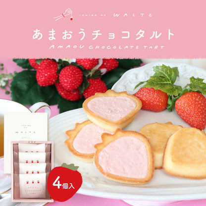 博多風美庵   苺のワルツ チョコタルト
