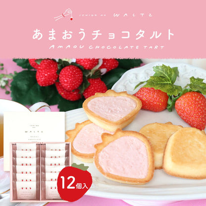 博多風美庵   苺のワルツ チョコタルト