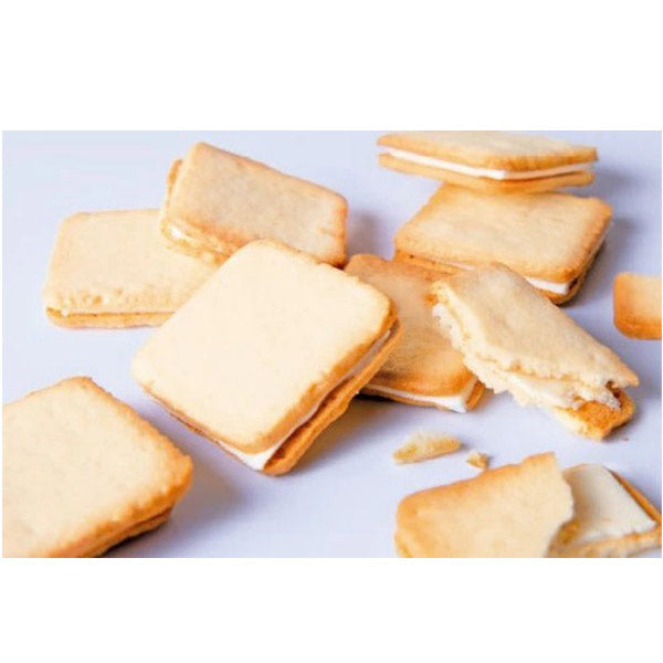 北見鈴木製菓 北海道チーズチョコサンドクッキー 6枚