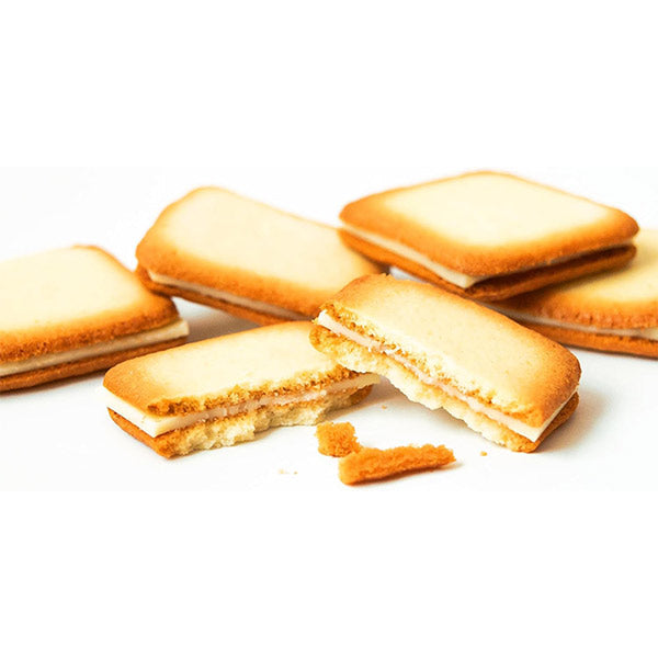 北見鈴木製菓 北海道チョコラングドシャ ホワイト 5枚