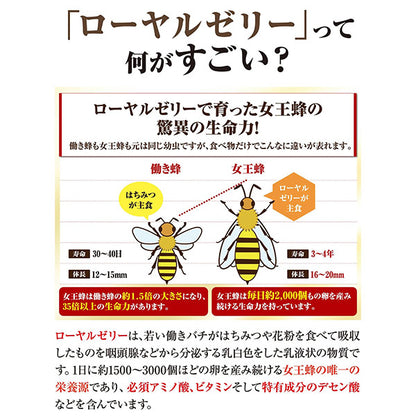 杉養蜂園ローヤルゼリーゴールド[粒]分包(102粒34分包)(1ヵ月分)