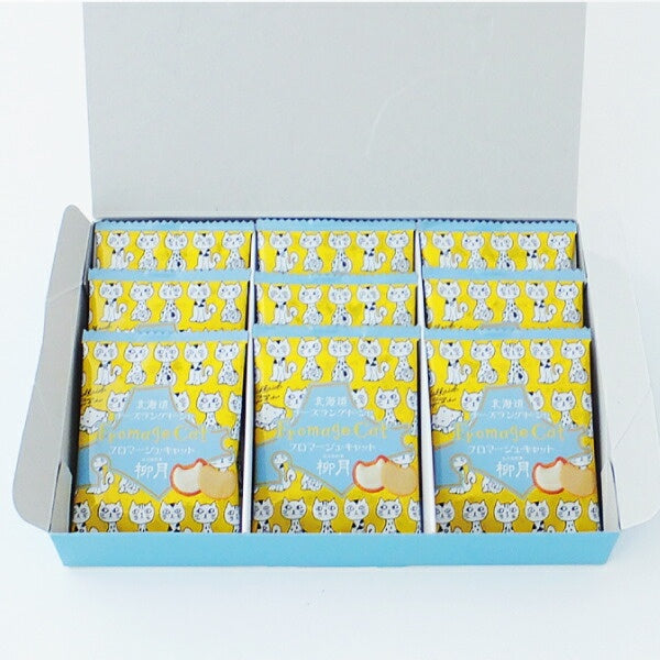 柳月 フロマージュ・キャット 9枚入