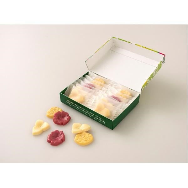 六花亭 六花の森12枚