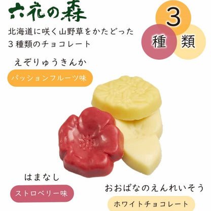 六花亭 六花の森12枚