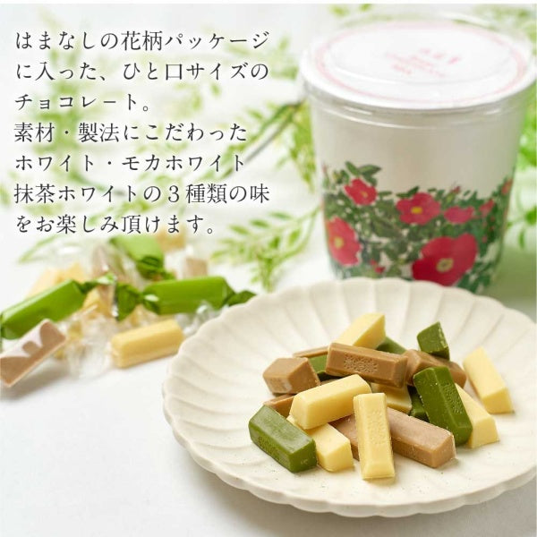 六花亭 ベビ-チョコミックス100g