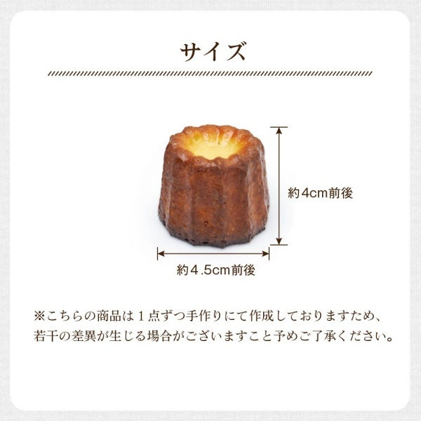 MERCADO 北海道カヌレ プレーン