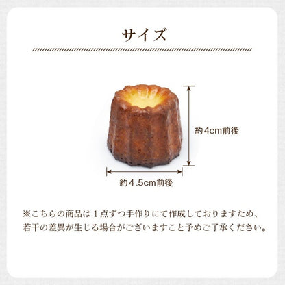 MERCADO 北海道カヌレ 紅はるか　