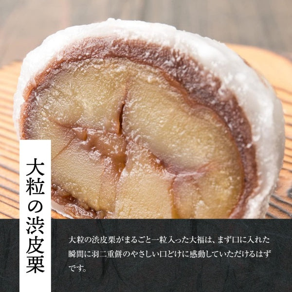 新杵堂 まるごと渋皮栗大福　単品