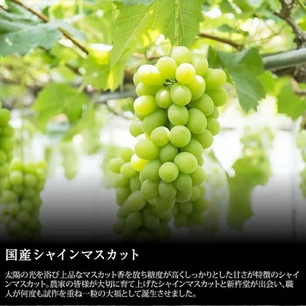 新杵堂 まるごとシャインマスカット大福　8個入