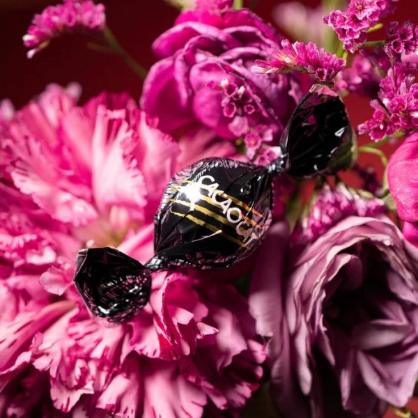 DADACA  CACAOCAT ダーク 2個入り