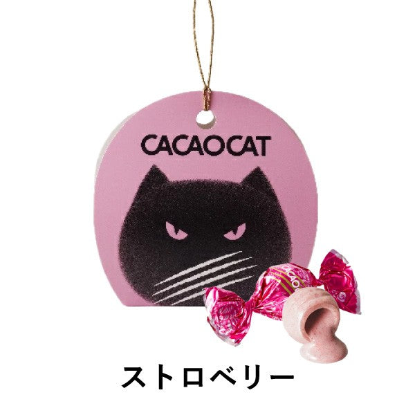 DADACA  CACAOCAT ストロベリー 2個入り