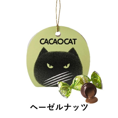 DADACA   CACAOCAT ヘーゼルナッツ 2個入り