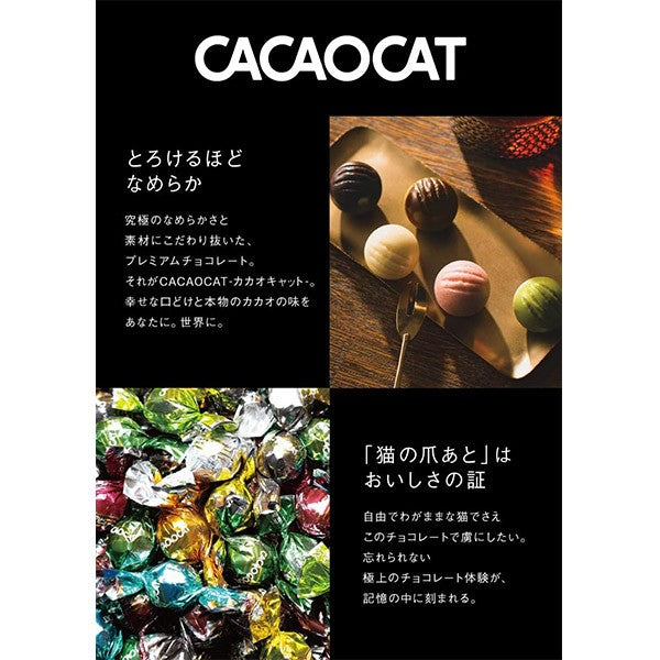DADACA  CACAOCAT ミックス 9個入り CAT