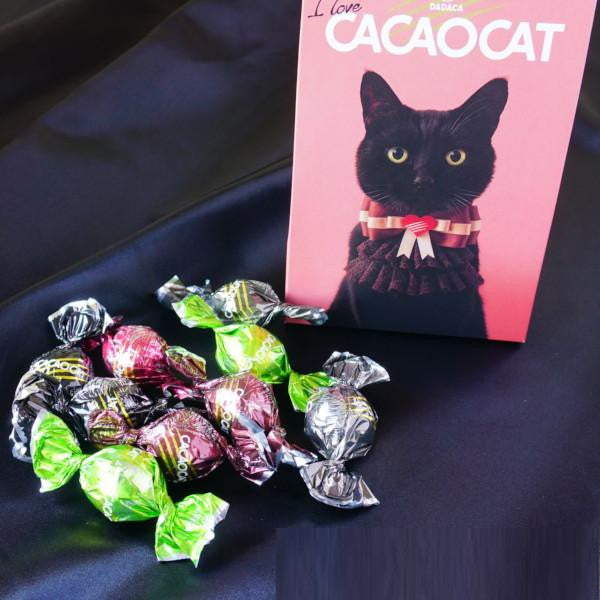 DADACA   I love CACAOCAT ミックス 9個入り