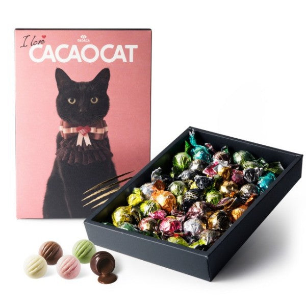 DADACA  I love CACAOCAT ミックス 28個入り