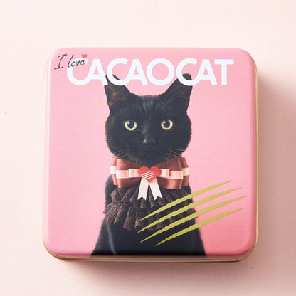 DADACA   I love CACAOCAT 缶 ミックス8個入り