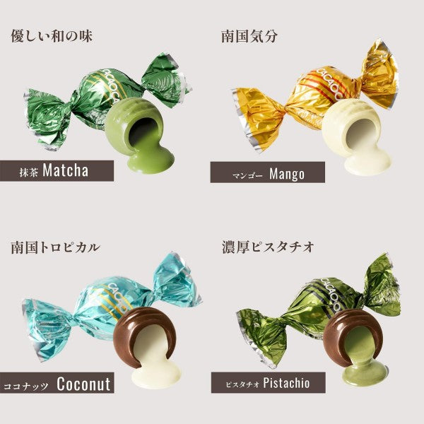 DADACA  CACAOCAT 缶 ミックス 14 個入り FLOWER