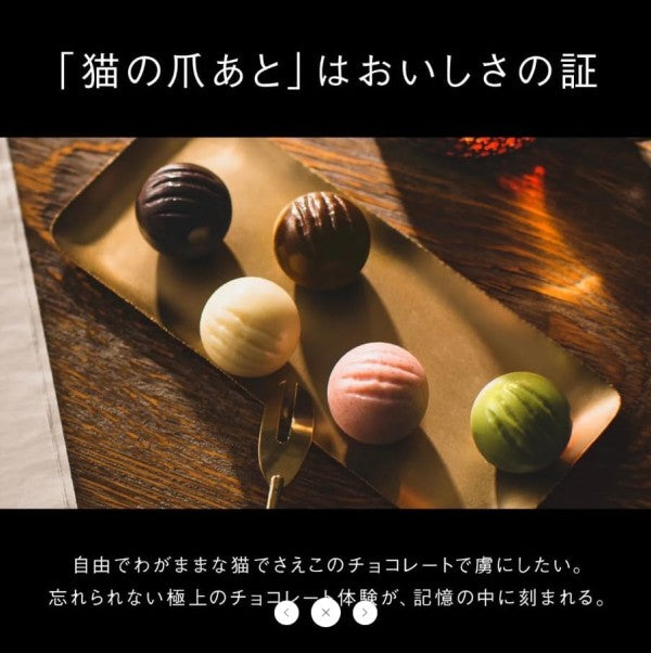 DADACA  CACAOCAT 缶 ミックス 14 個入り FLOWER