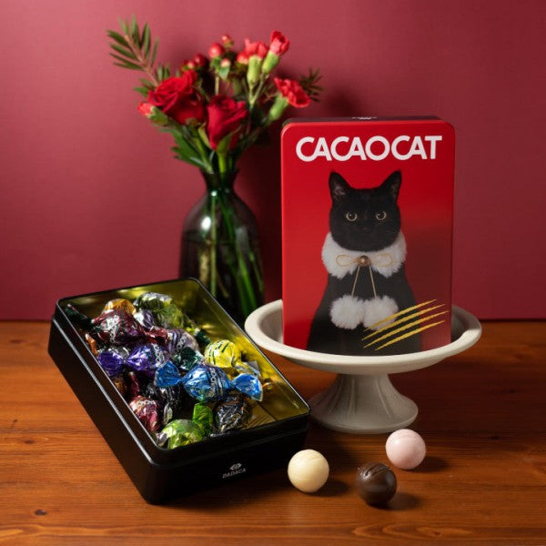 DADACA   CACAOCAT 缶 ミックス 14 個入り RED