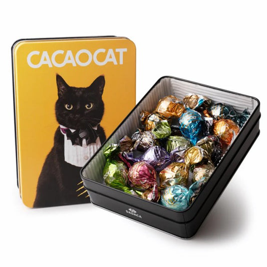 DADACA   CACAOCAT 缶 ミックス 14 個入り YELLOW