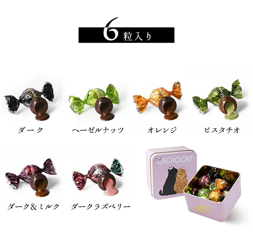 DADACA   CACAOCAT 缶 ミックス6個入り　YOU&ME
