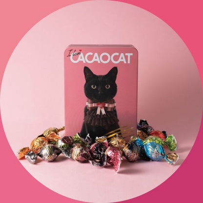 DADACA   I love CACAOCAT 缶 ミックス 14個入り