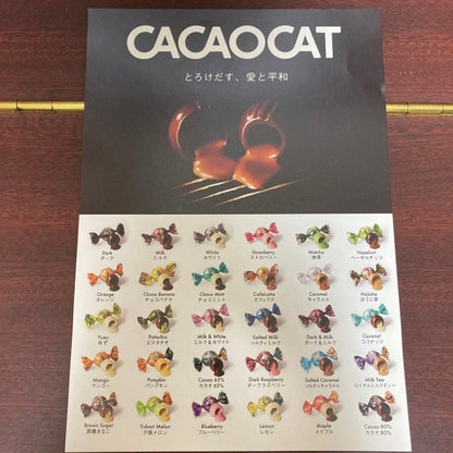 DADACA   CACAOCAT アドベントカレンダー  25個入り