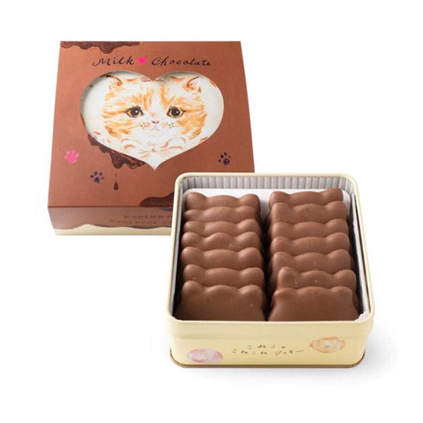 DADACA  こねこのこねこねクッキー缶 Milk chocolate    12枚入