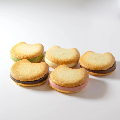 DADACA  CACAOCAT SAND 缶ミックス5個入り