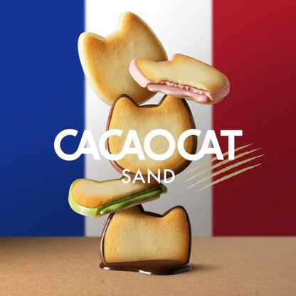 DADACA  CACAOCAT SAND 缶ミックス5個入り