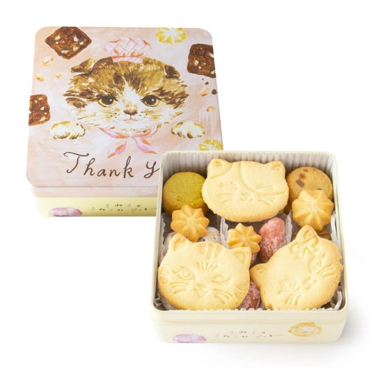 DADACA  CACAOCAT こねこのこねこねクッキー缶 Thankyou