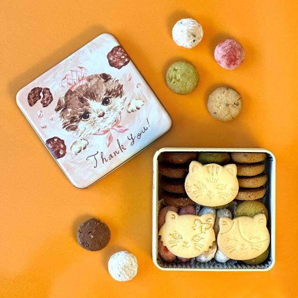 DADACA  CACAOCAT こねこのこねこねクッキー缶 Thankyou