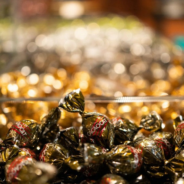 DADACA  CACAOCAT ホワイト 5個入り